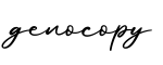 单词genocopy书写