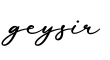 单词geysir书写