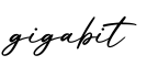 单词gigabit书写
