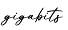 单词gigabits书写