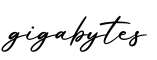 单词gigabytes书写