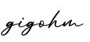 单词gigohm书写