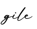单词gile书写