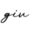 单词giv书写