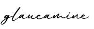 单词glaucamine书写