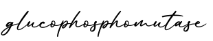 单词glucophosphomutase书写