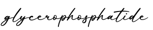 单词glycerophosphatide书写