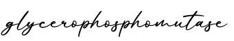 单词glycerophosphomutase书写