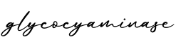 单词glycocyaminase书写