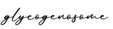 单词glycogenosome书写