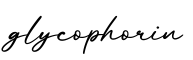 单词glycophorin书写