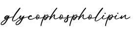 单词glycophospholipin书写