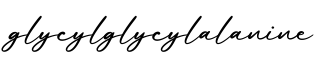 单词glycylglycylalanine书写
