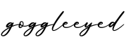 单词goggleeyed书写