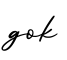 单词gok书写