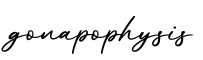 单词gonapophysis书写