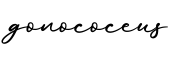 单词gonococeus书写