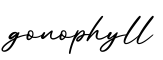 单词gonophyll书写