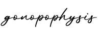单词gonopophysis书写