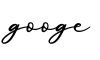 单词googe书写