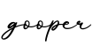 单词gooper书写