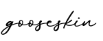单词gooseskin书写