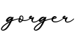 单词gorger书写
