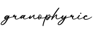 单词granophyric书写
