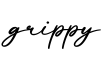 单词grippy书写