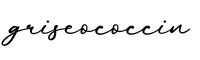 单词griseococcin书写