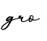 单词gro书写