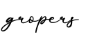 单词gropers书写