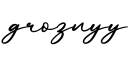 单词groznyy书写
