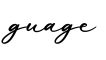 单词guage书写