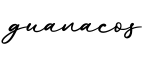 单词guanacos书写