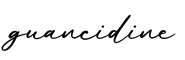 单词guancidine书写