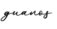 单词guanos书写