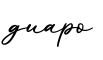 单词guapo书写