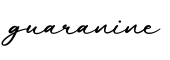 单词guaranine书写