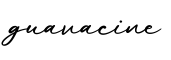 单词guavacine书写