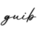 单词guib书写