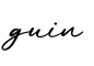 单词guin书写