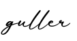 单词guller书写