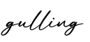 单词gulling书写