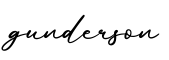 单词gunderson书写