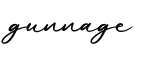 单词gunnage书写