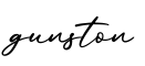 单词gunston书写