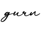 单词gurn书写