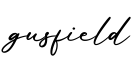 单词gusfield书写