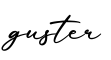单词guster书写